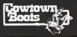 cowtownboots.com